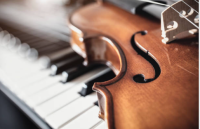 Illustration de la boutique